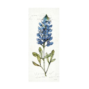 Trademark Fine Art -Anne Tavoletti 'Texas Bluebonnet Iv' Canvas Art - 1 of 4