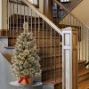 3' Prelit Glittery Bristle Pine Artificial Christmas Tree with Cones Warm White Lights - National Tree Company - 2 of 4