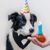 Dog Tuxedo, Formal Wedding Bandana Collar with Bow Tie, Adjustable Pet Party Tuxedo, Valentine's Outfit - 4 of 4