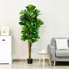 Gulches 71in Artificial Fiddle Tree in Planter 232 Green PE Leaves 71in Tall Indoor Outdoor Faux Plant - 2 of 4