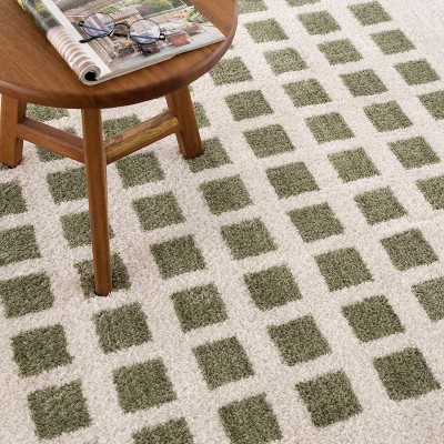 Hauteloom Baback Green Washable Area Rug