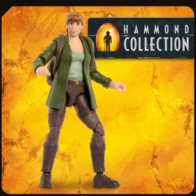 Hammond Collection