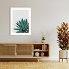 Amanti Art Agave Cactus by Orara Studio Wood Framed Wall Art Print - 4 of 4