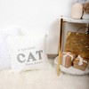 Pavilion Gift Company - Spoiled Cat - 18" Throw Pillow Cover - Throw Pillow Covers - 3 of 4