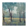 Trademark Fine Art -Tim Otoole 'Thin Morning Mist' Canvas Art - 2 of 4
