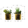Artificial Plant, 7" Tall, Succulent, Indoor, Faux, Fake, Table, Greenery, Potted, Set Of 2, Decorative, Green Plants, Glossy Gold Pots - 4 of 4