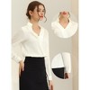 INSPIRE CHIC Women's Satin Office Blouse Elegant Point Collar V Neck Long Sleeve Work Top Shirts - 2 of 4