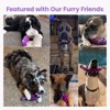 Itopfox Tough Squeaky Indestructible Dog Chew Toy for Aggressive Chewers, Bacon Flavor, Keeps Medium & Large Breed Dogs Busy & Reduces Boredom - 4 of 4