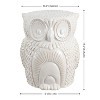 JONATHAN Y Millie 17.5" Classic Vintage Ceramic Indoor/Outdoor Owl Garden Stool - 3 of 4