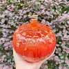 JDICTION Halloween 5 Inch Pumpkin Jar Resin Mold - Epoxy Silicone Molds for Storage Box, Jewelry Trinket Container & Decor - 4 of 4