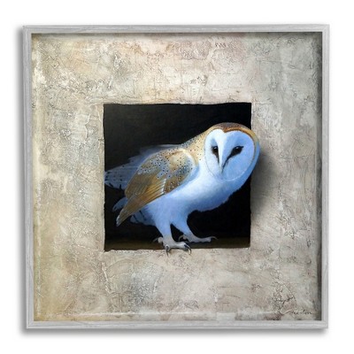 Stupell Industries Mysterious Barn Owl Peering Framed Giclee Art