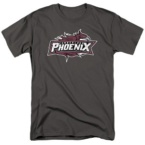Men's Cumberland University Official Distressed Primary Logo T-Shirt - 1 of 4