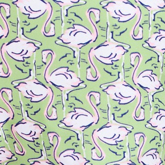green flamingo geo