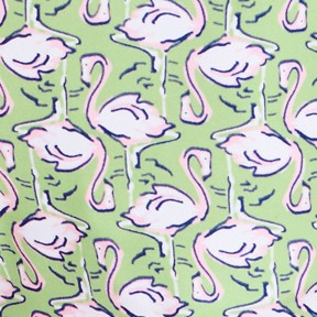 green flamingo geo