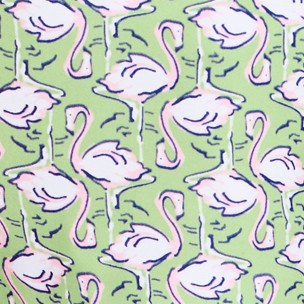 green flamingo geo