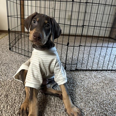 Smiley Face Dog Graphic Sweatshirt - Xl - Boots & Barkley™ : Target