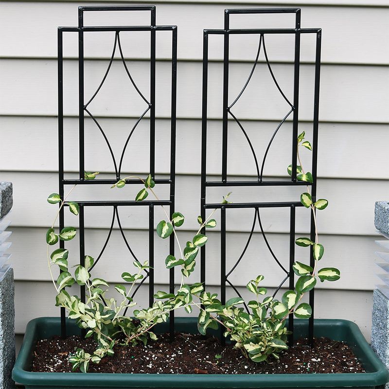 Sunnydaze Contemporary Metal Wire Garden Trellis for Climbing Plants and Flowers - 30" H - Black - 2-Pack, 2 of 7