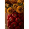 Ceramic Vase – Tomatoes – 10.5" Tall Colorful Fruit Design by Kalalou - 2 of 3
