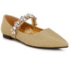 Flavia Diamante Brooch Glitter Ballerinas Women - 2 of 4