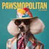 TF Publishing 13.5"x14.5" 2026 Pawsmopolitan Wall Calendar - 2 of 4