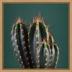 Amanti Art Cactus IV by Andre Eichman Canvas Wall Art Print Framed 16 x 16-in. - 1 of 4