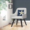 Decorative Throw Pillow_5 by Trademark Fine Art - 3 of 4
