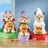 Collections Etc Halloween Trick-or-Treat Dog Sitters - Set of 3 - 2 of 2