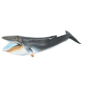 Collectible Wildlife Gifts | Whale, Blue Whale, Marine Mammal, Rubber Animal, Realistic Toy Figure, Model, Hand Painted, Gift,   9"   CH313 BB130 - 1 of 4