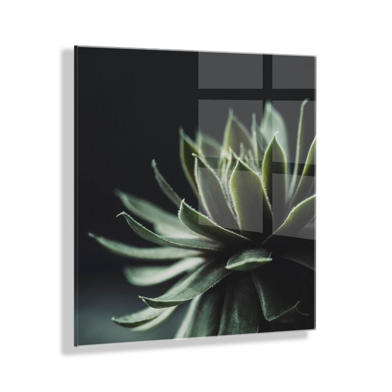23&#34; x 23&#34; Warrior Succulent by Emiko and Mark Franzen of F2 Images Unframed Wall Canvas - Kate &#38; Laurel All Things Decor, 1 of 8