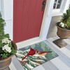 Liora Manne Frontporch Holiday Indoor/Outdoor Rug.. - image 4 of 4