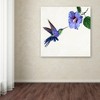 Trademark Fine Art -The Macneil Studio 'Humming Bird' Canvas Art - image 3 of 3