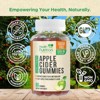 Vegan Apple Cider Vinegar Gummies | Max Strength 1000mg | ACV Supplement Gummy - 60 Gummies;120 Gummies - 4 of 4