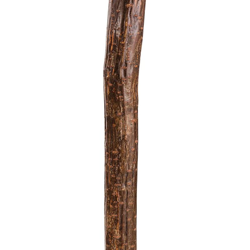 Brazos Knob Root Natural Hardwood Wood Walking Stick 37 Inch Height, 4 of 5