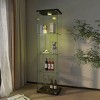 Glass Display Cabinet with Glass Doors & LED Lights, Glass Showcase with Shelves, Decorative Storage for Living Room – Cuddlewood - 2 of 4
