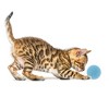 Unique Bargains Cat Playing Ball with Bell 1 Pc - 3 of 4