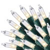 Joyfy 100 Count Clear Christmas String Lights, Warm White Fairy Light Xmas Tree Lights with Green Wire Decoration for Holiday Party Decor - 2 of 4