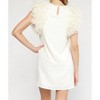Women's Tulle Sleeve Textured Dress - entro - 4 of 4