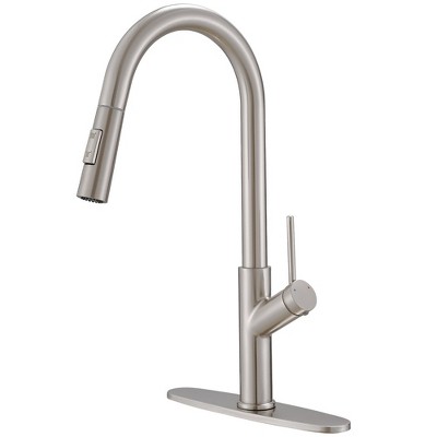 Single Handle Pull Down Sprayer Kitchen Faucet
