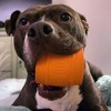 Bullymake Toss and Treat Keg Orange Peanut Butter Scent Dog Interactive Toy - 4 of 4