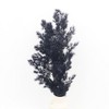 Alilang Decorative Dried Fine Leaf Stems for Home Decoration and Floral Arrangements, 17.7 Inches - 3 of 3