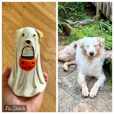 Guest review image 2 of 2, zoom in