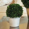 Plum & Post Boxwood 8" Faux (Fake) Ball In Pot - 3 of 4