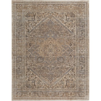 Celene Traditional Medallion Area Rug