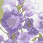 plum floral
