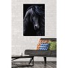 Trends International Laurie Prindle - The Black Unframed Wall Poster Prints - 2 of 4