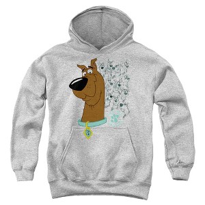 Boys’ Scooby Doo Evolution Of Scooby Doo Hooded Sweatshirt - 1 of 4
