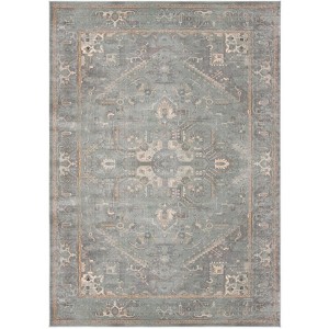 Vintage VTG114 Power Loomed Indoor Skid-Resistant Rugs - Safavieh - 1 of 4