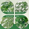 Aoibox 4Pcs Fake Hanging Plants Artificial Ivy Vine Faux Eucalyptus Boston Fern String of Pearls for Living Room Bedroom Boho Wall Shelf Decor - 3 of 4