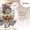 Suitical Recovery Suit for Cats - Comfortable Alternative To A Cat Cone - Tiger Print - 3 of 4