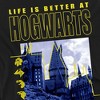 Toddler Boys' Harry Potter Life Is Better At Hogwarts T-Shirt - 3 of 4